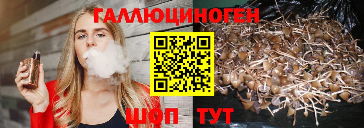 Еманжелинск  Галлюциногенные грибы прущие грибы  Псилоцибиновые грибы прущие грибы  Вход с VPN 